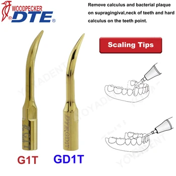 נקר DTE Scaler טיפים שיניים דרוג טיפים טי-מצופה זהב GD1T G1T עבור EMS UDS NSK SATELEC Ultrasonic Scaler ידני